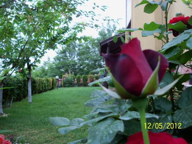 Name:  100_3822.jpg
Views: 554
Size:  64.5 KB