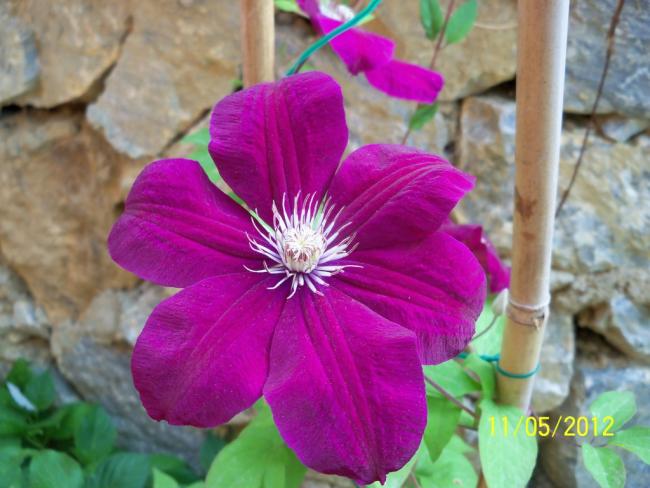 Name:  100_3707.jpg
Views: 541
Size:  46.1 KB