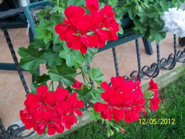 Name:  100_3933.jpg
Views: 513
Size:  54.7 KB