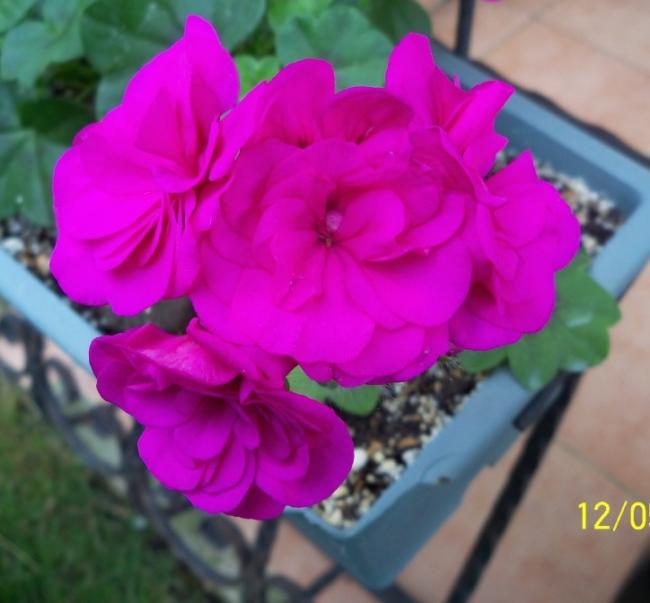 Name:  100_3925.jpg
Views: 549
Size:  37.2 KB