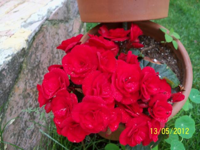 Name:  100_4029.jpg
Views: 490
Size:  44.7 KB