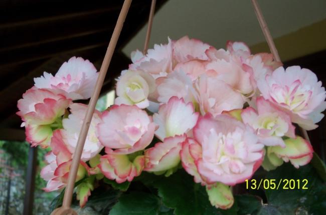Name:  100_4034.jpg
Views: 522
Size:  33.8 KB