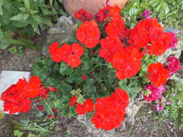 Name:  DSCF2321.jpg
Views: 521
Size:  67.6 KB