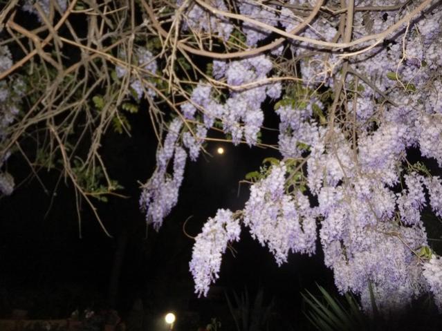 Name:  DSCF2404.jpg
Views: 470
Size:  58.3 KB