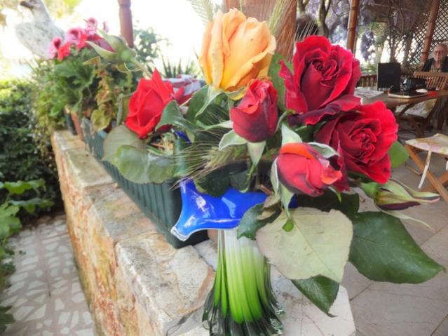 Name:  DSCF2411.jpg
Views: 482
Size:  53.9 KB