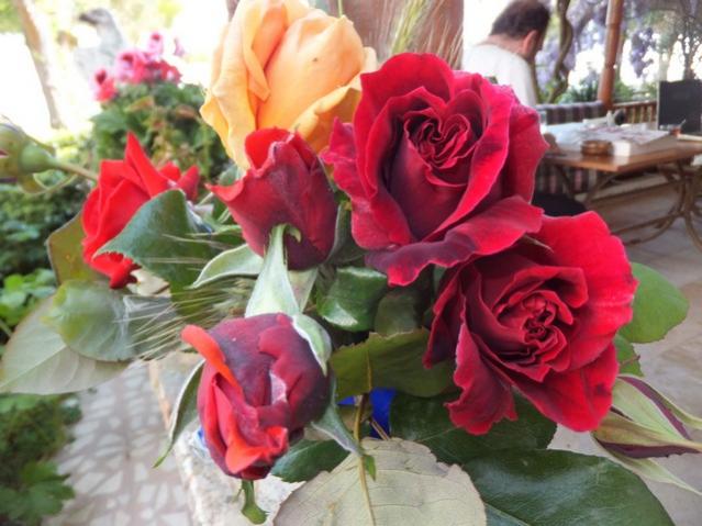 Name:  DSCF2414.jpg
Views: 496
Size:  49.1 KB