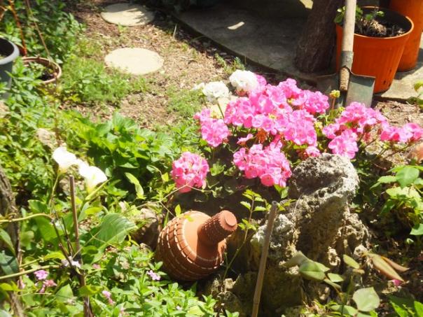 Name:  DSCF2428.jpg
Views: 471
Size:  73.0 KB