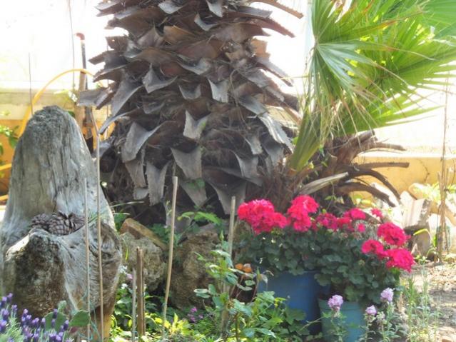 Name:  DSCF2432.jpg
Views: 504
Size:  61.1 KB