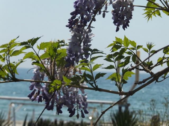 Name:  DSCF2434.jpg
Views: 445
Size:  50.8 KB