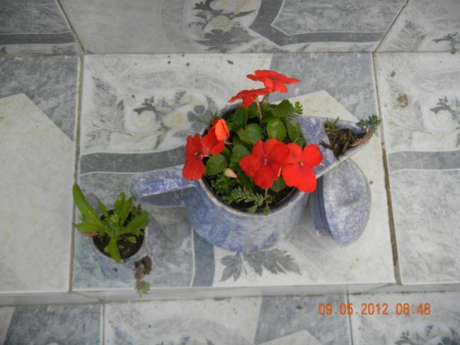 Name:  DSCN0951.jpg
Views: 951
Size:  40.9 KB