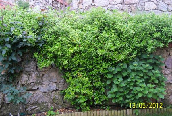 Name:  100_3977.jpg
Views: 507
Size:  71.5 KB