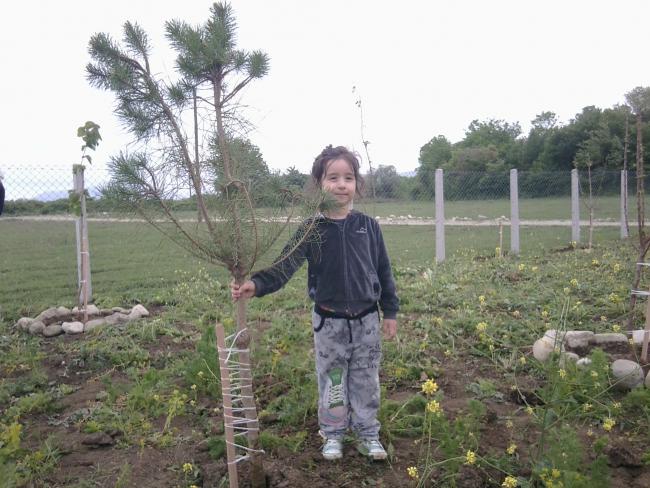 Name:  Fotoraf0411.jpg
Views: 4964
Size:  59.7 KB