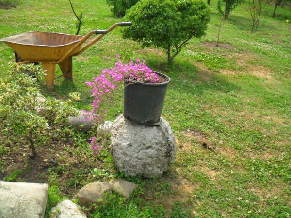 Name:  052.jpg
Views: 617
Size:  72.3 KB