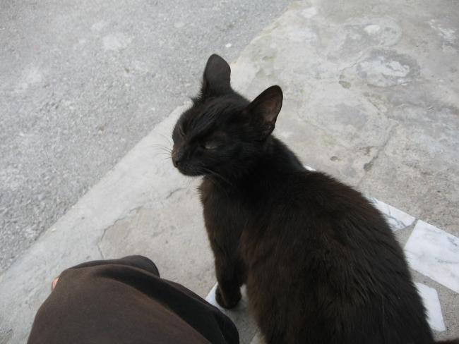 Name:  IMG_1592.jpg
Views: 951
Size:  35.7 KB