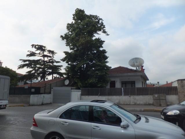Name:  DSCF2573.jpg
Views: 480
Size:  34.0 KB