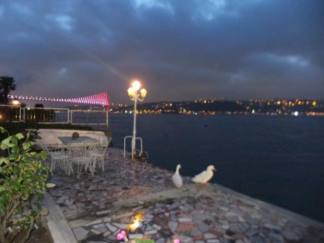 Name:  DSCF2585.jpg
Views: 839
Size:  31.7 KB
