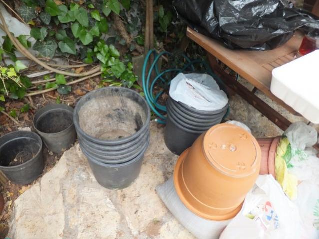 Name:  DSCF2651.jpg
Views: 684
Size:  50.1 KB