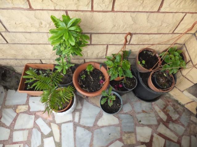 Name:  DSCF2604.jpg
Views: 630
Size:  51.9 KB