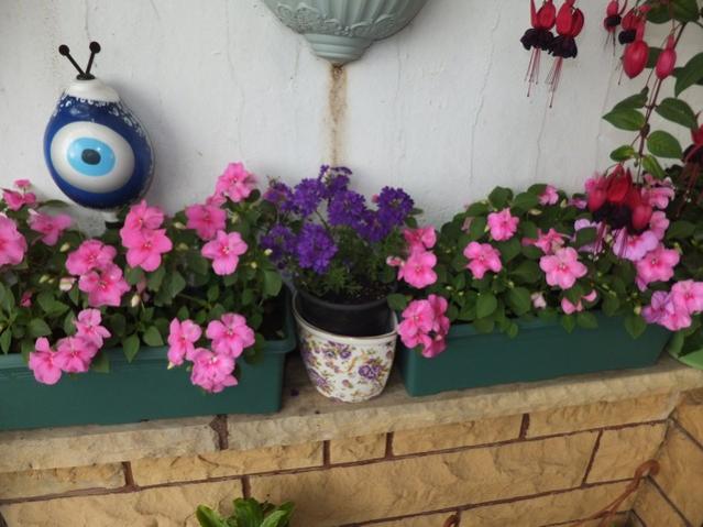 Name:  DSCF2605.jpg
Views: 596
Size:  46.3 KB