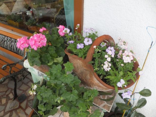 Name:  DSCF2619.jpg
Views: 562
Size:  50.7 KB