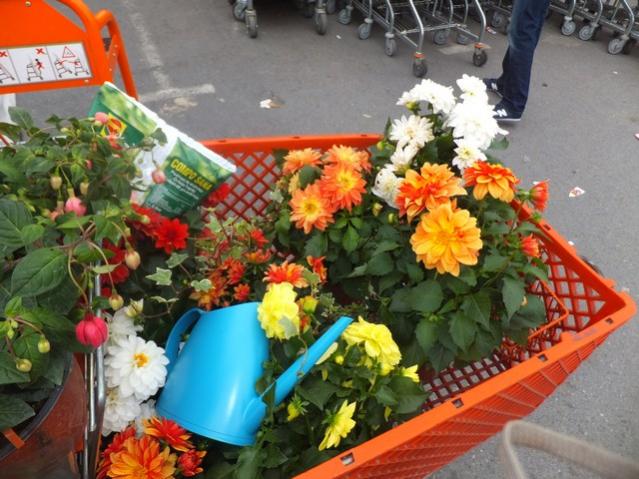 Name:  DSCF2711.jpg
Views: 689
Size:  58.7 KB