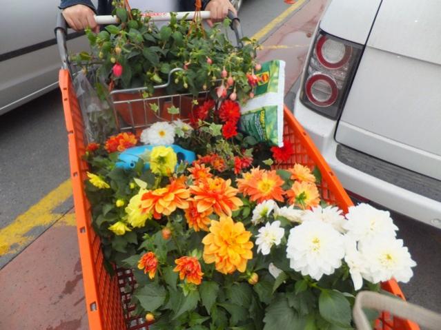 Name:  DSCF2713.jpg
Views: 694
Size:  53.4 KB