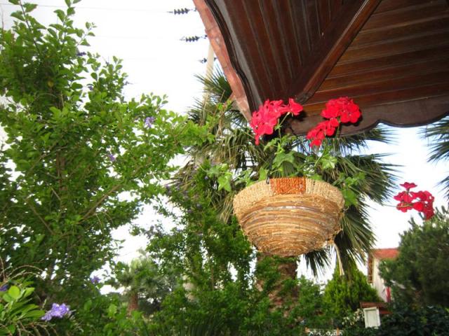 Name:  sepet1.jpg
Views: 758
Size:  69.6 KB