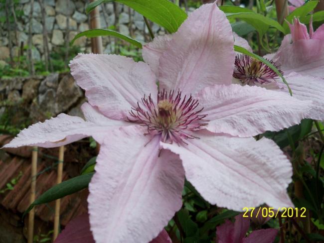 Name:  100_4138.jpg
Views: 604
Size:  47.1 KB