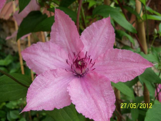 Name:  100_4142.jpg
Views: 630
Size:  39.4 KB