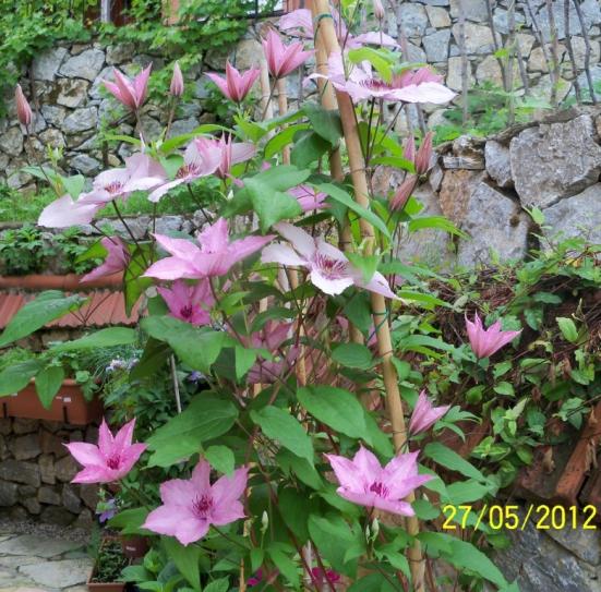 Name:  100_4136.jpg
Views: 654
Size:  74.2 KB
