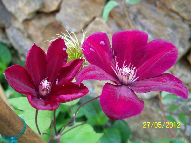 Name:  100_4156.jpg
Views: 659
Size:  45.8 KB