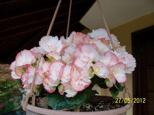 Name:  100_4461.jpg
Views: 623
Size:  38.6 KB
