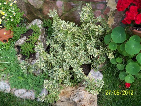 Name:  100_4484.jpg
Views: 595
Size:  72.3 KB