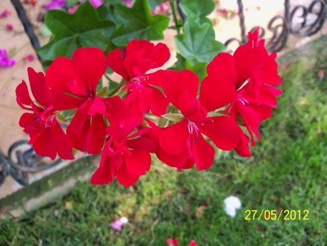 Name:  100_4436.jpg
Views: 618
Size:  45.8 KB