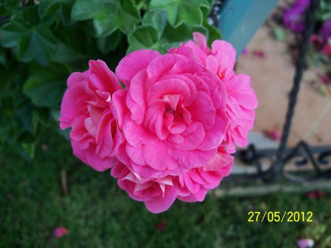Name:  100_4434.jpg
Views: 631
Size:  37.2 KB