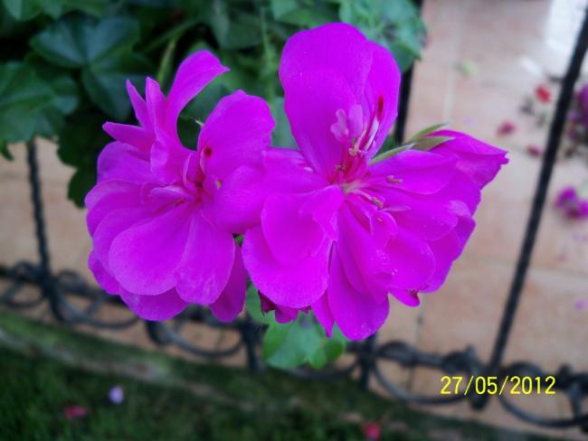 Name:  100_4430.jpg
Views: 630
Size:  34.3 KB
