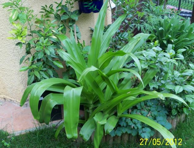 Name:  100_4215.jpg
Views: 600
Size:  71.0 KB