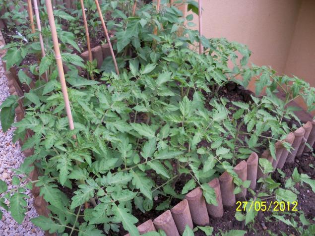 Name:  100_4509.jpg
Views: 584
Size:  70.9 KB