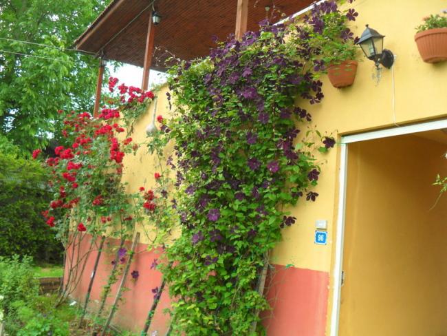 Name:  095.jpg
Views: 810
Size:  67.8 KB