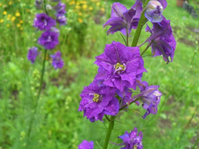 Name:  002.jpg
Views: 715
Size:  43.0 KB