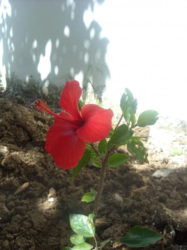 Name:  Resim 124.jpg
Views: 668
Size:  60.9 KB