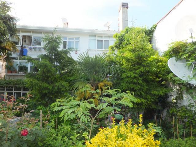 Name:  DSCF2809.jpg
Views: 461
Size:  61.2 KB