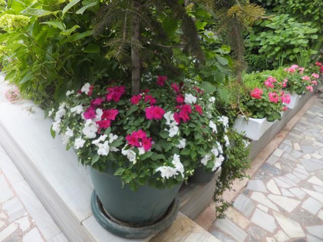 Name:  DSCF3142.jpg
Views: 452
Size:  57.5 KB