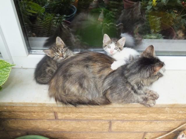 Name:  DSCF3159.jpg
Views: 513
Size:  42.1 KB