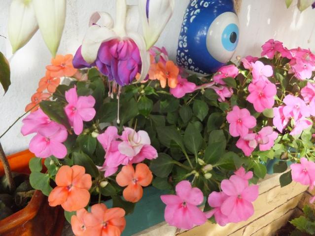 Name:  DSCF3130.jpg
Views: 560
Size:  50.7 KB