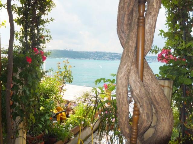 Name:  DSCF3204.jpg
Views: 551
Size:  59.6 KB