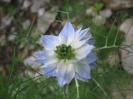 Name:  rekotu1.JPG
Views: 1021
Size:  44.6 KB