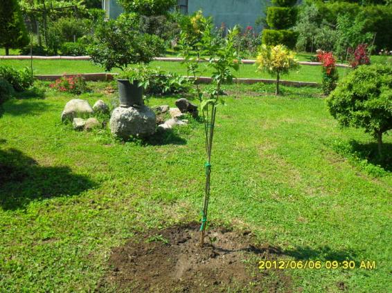 Name:  056.jpg
Views: 616
Size:  71.3 KB