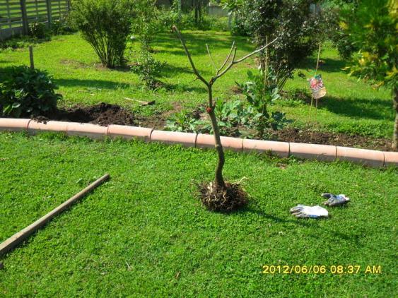 Name:  047.jpg
Views: 618
Size:  71.9 KB