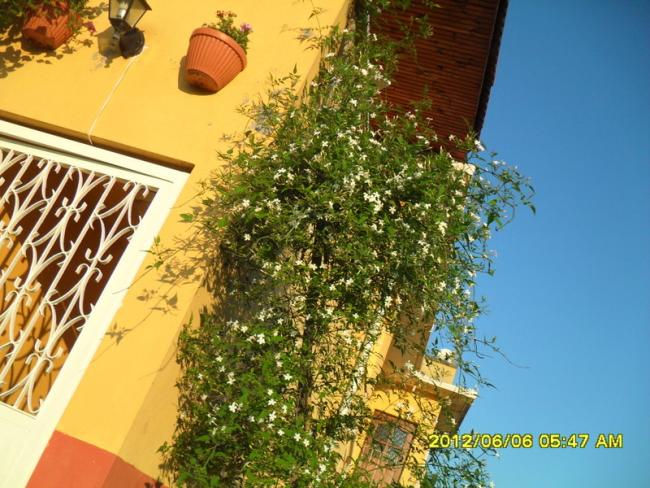 Name:  020.jpg
Views: 595
Size:  66.5 KB